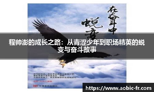 程帅澎的成长之路：从青涩少年到职场精英的蜕变与奋斗故事